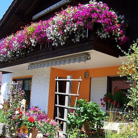 Haus Schmid Apartamento Innernzell Exterior foto